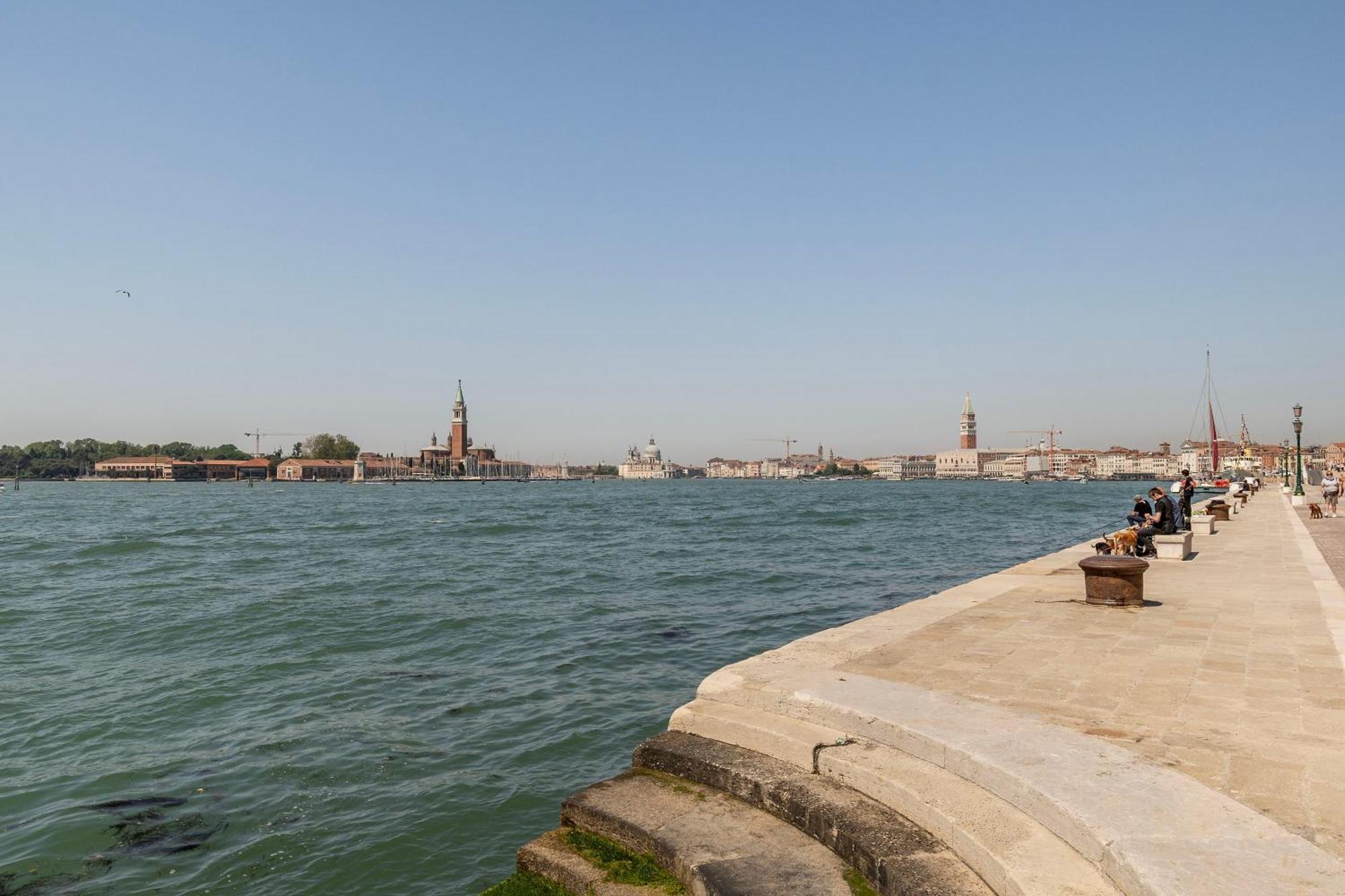 Ca'lina Near Biennale * Venezia